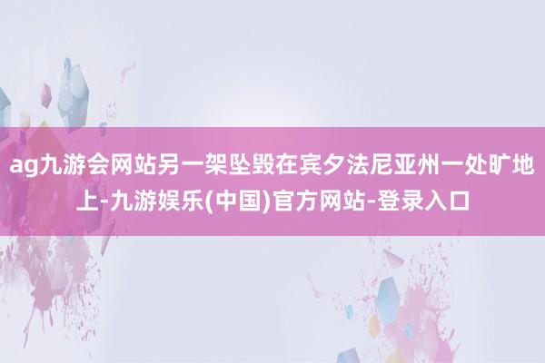 ag九游会网站另一架坠毁在宾夕法尼亚州一处旷地上-九游娱乐(中国)官方网站-登录入口