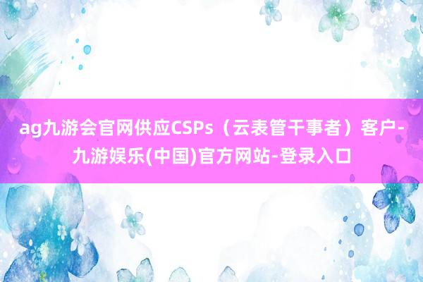 ag九游会官网供应CSPs（云表管干事者）客户-九游娱乐(中国)官方网站-登录入口