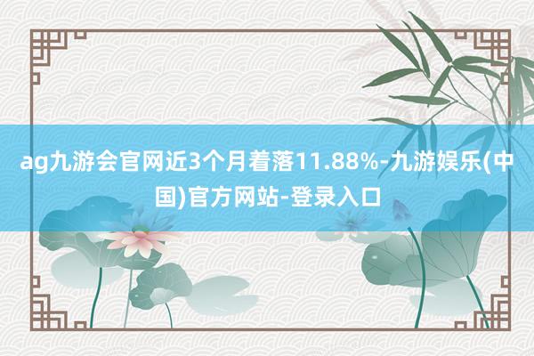 ag九游会官网近3个月着落11.88%-九游娱乐(中国)官方网站-登录入口