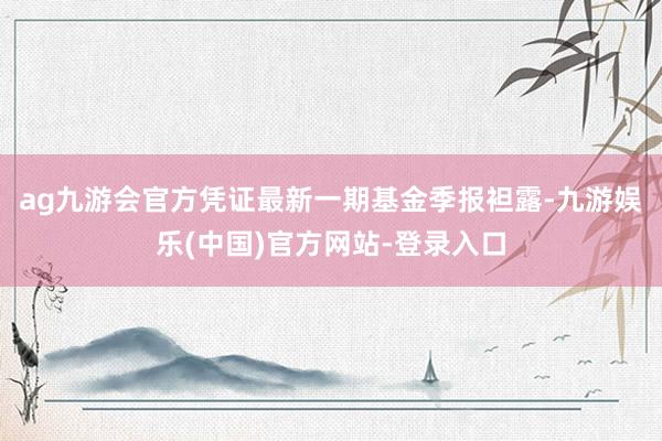 ag九游会官方凭证最新一期基金季报袒露-九游娱乐(中国)官方网站-登录入口